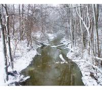 triptych of images of creeks in winter